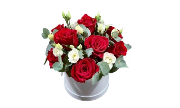 F2532b524385b603aef8795335e98615 (1)